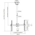 Uchwyt sufitowy Techly 37"-70", 50kg regulowany - 1460992