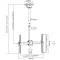 Uchwyt sufitowy Techly 37"-70", 50kg regulowany - 1317121