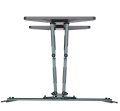 GEMBIRD UCHWYT ŚCIENNY REGULOWANY LCD 40"-80" VESA MAX 600 X 400MM, DO 50KG - 1633209