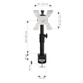 Uchwyt biurkowy Techly 13"-30", 15kg regulowany - 1483638