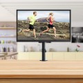 Uchwyt biurkowy Techly 13"-30", 15kg regulowany - 1483643