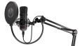 Mikrofon Endorfy Solum (EY1B001) - 1781759