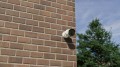 Kamera IP zewnętrzna TESLA TSL-CAM-8S Smart Camera Outdoor (wersja 2022, biały) - 1678481