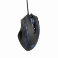 GEMBIRD GAMINGOWA MYSZ USB Z PODŚWIETLENIEM RGB RAGNAR RX300 8 PRZYCISKÓW, 12000DPI, CZARNA - 1626110