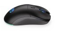 Mysz ENDORFY Gem Plus Wireless PAW3395 - 1789230
