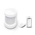 Czujnik ruchu TESLA TSL-SEN-MOTION Smart Sensor Motion - 1678825