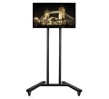 Uchwyt mobilna do monitora B TECH BT8503/B 1MBTM036 - 761643