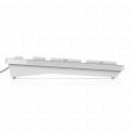 DELL Keyboard : US-Euro (Qwerty) Dell KB216 Quietkey USB, White - 860092
