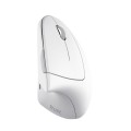 Mysz bezprzewodowa TRUST VERTO WIRELESS ERGO MOUSE WHT - 1606927