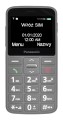 Panasonic KX-TU160EXG Szary - 1079025