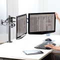 Fellowes Ergonomia  ramię na 2 monitory Vista - dawne Professional Series™ - 1545818