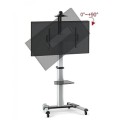 Stojak mobilny Techly 37"-70", 50kg regulowany, z półką - 1311640