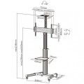Stojak mobilny Techly 37"-70", 50kg regulowany, z półką - 1311639