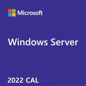 50-pack of WS 2022/2019 User CALs