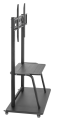 GEMBIRD STOJAK POD TELEWIZOR 37" - 100" MOBILNY - NA KÓŁKACH, VESA MAX 800 X 600MM (WYPRZEDAŻ) - 1786226