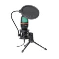 MIKROFON STOJĄCY POJEMNOŚCIOWY Z MEMBRANĄ AC-02 TRÓJNÓG USB LED - 1335010
