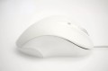 MATIAS MYSZ ERGONOMICZNA PBT USB-C (4 PRZYCISKI, ROLKA) BIAŁA M20CW - 1342068