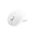 MATIAS MYSZ ERGONOMICZNA PBT USB-C (4 PRZYCISKI, ROLKA) BIAŁA M20CW - 1342070