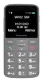 Panasonic KX-TU160EXG Szary (WYPRZEDAŻ) - 1320511