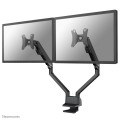 NewStar Flat Screen Desk Mount - 1131778