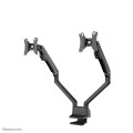 NewStar Flat Screen Desk Mount - 1131776