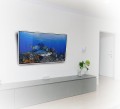 Uchwyt ścienny do monitora B TECH BTV521/B 1MBTM062 (ścienne; 47" - 65"; max. 70kg) - 1131507