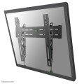 Uchwyt NewStar NM-W365BLACK - 1131607