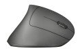MYSZ TRUST Verto Wrlss Ergonomic Mouse - 1067644