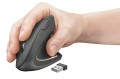 MYSZ TRUST Verto Wrlss Ergonomic Mouse - 1067645