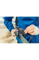 Plecak trekkingowy GREGORY Maven 45 S/M Hel Grey - 1811647