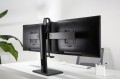 GEMBIRD STOJAK BIURKOWY NA DWA MONITORY Z REGULACJĄ WYSOKOŚCI 17-27, VESA 100X100MM, DO 6 KG - 1817760
