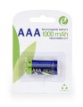 Akumulator Gembird Ni-MH AAA 1000mAh (2 szt.) - 1600529