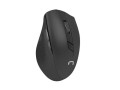 Zestaw bezprzewodowy klawiatura i mysz Natec Stingray NZB-1440 - 1066451