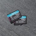Karta pamięci Micro SD Kingston Canvas Go! Plus Class 10 256GB + AdapterSD - 1766739