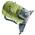 Plecak turystyczny Deuter Trail Pro 33 meadow-graphite - 1853087
