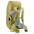 Plecak turystyczny Deuter AC Lite 28 SL sprout-linden - 1853194