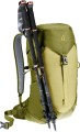 Plecak turystyczny Deuter AC Lite 16 linden-cactus - 1853415