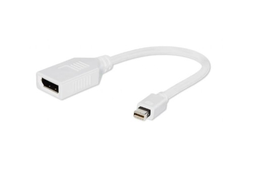 Adapter mini DisplayPort-DisplayPort Biały Gembird - 963483