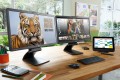 Mysz HP Z5000 (Dark Ash silver) - 844848