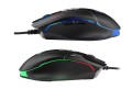 A4TECH BLOODY ZESTAW KLAWIATURA MYSZKA USB B1700 - 1872238