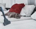 Odkurzacz Hoover RC60PET 011 REACTIV bezworkowy, Moc 450 W, Pojemność na kurz 2 L, Niebieski - 1882594