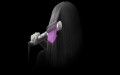 Suszarko-lokówka DYSON Airwrap Complete HS05 Nickel - 1777731