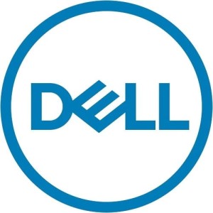 DELL 960GB SSD SATA Read Intensive ISE 6Gbps 512e 2.5inch w/3.5inch Brkt Cabled CUS Kit