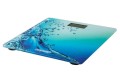 Waga Adler MS 8156 (kolor morski) - 948241