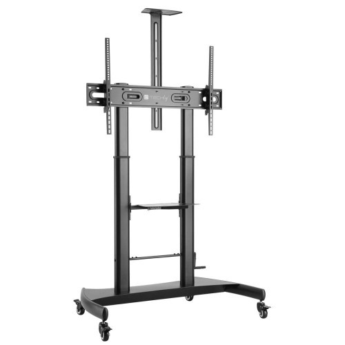 Stojak mobilny Techly 60''-100'', 100kg do Tablic Interatywnych - 1463083