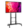 Stojak mobilny Techly 60''-100'', 100kg do Tablic Interatywnych - 1463094