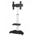 Stojak mobilny Techly 37"-70", 40kg z półką - 1200436