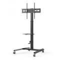 Stojak mobilny Techly 32"-70", 40kg regulowany z półką - 1467867