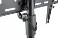 MANHATTAN STOJAK PODŁOGOWY TV TRIPOD LCD/LED 37-70 - 1125665