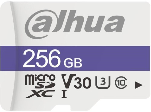 Karta pamięci Dahua C100 microSD 256GB - 1921922